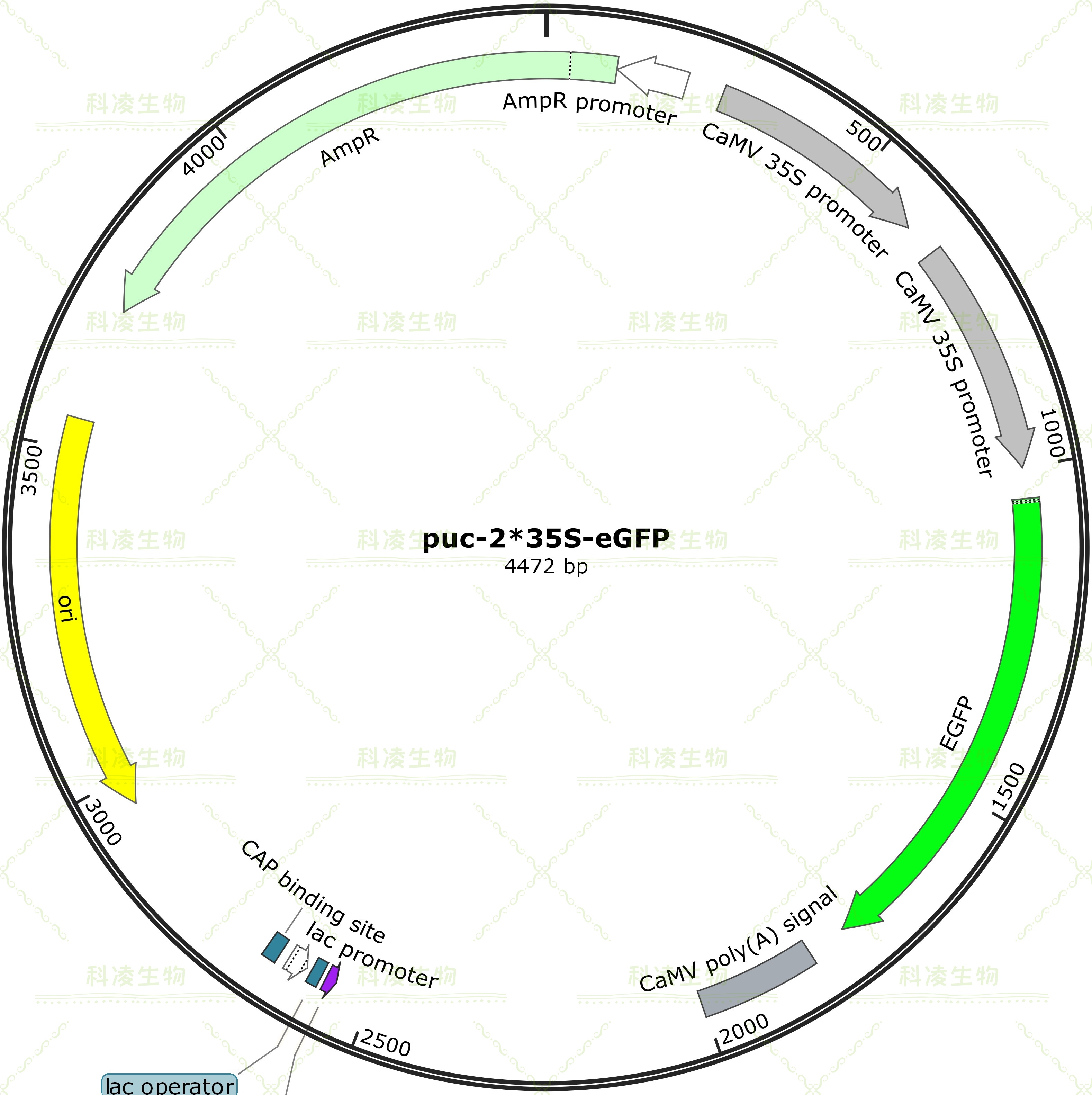 3、案例1.jpg 3、案例1.jpg
