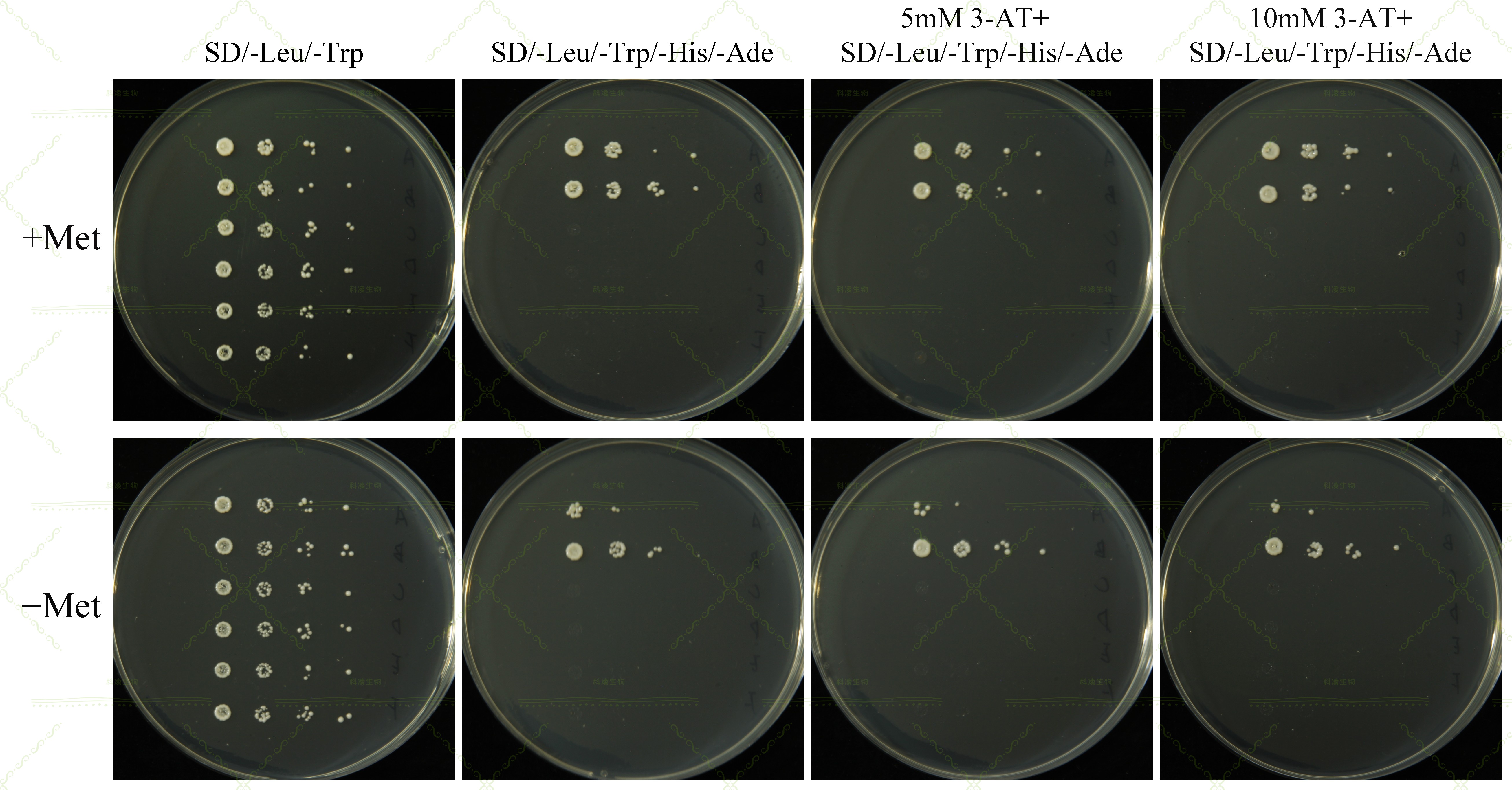 17,三杂.jpg 17,三杂.jpg