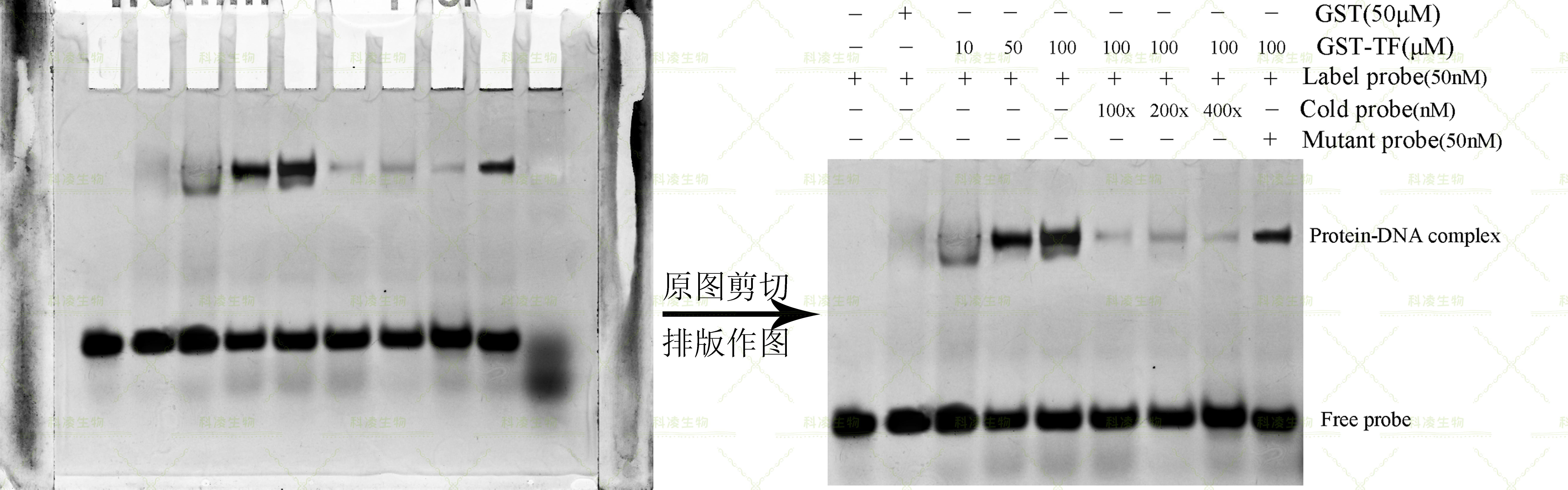 21EMSA服务案例.png 21EMSA服务案例.png