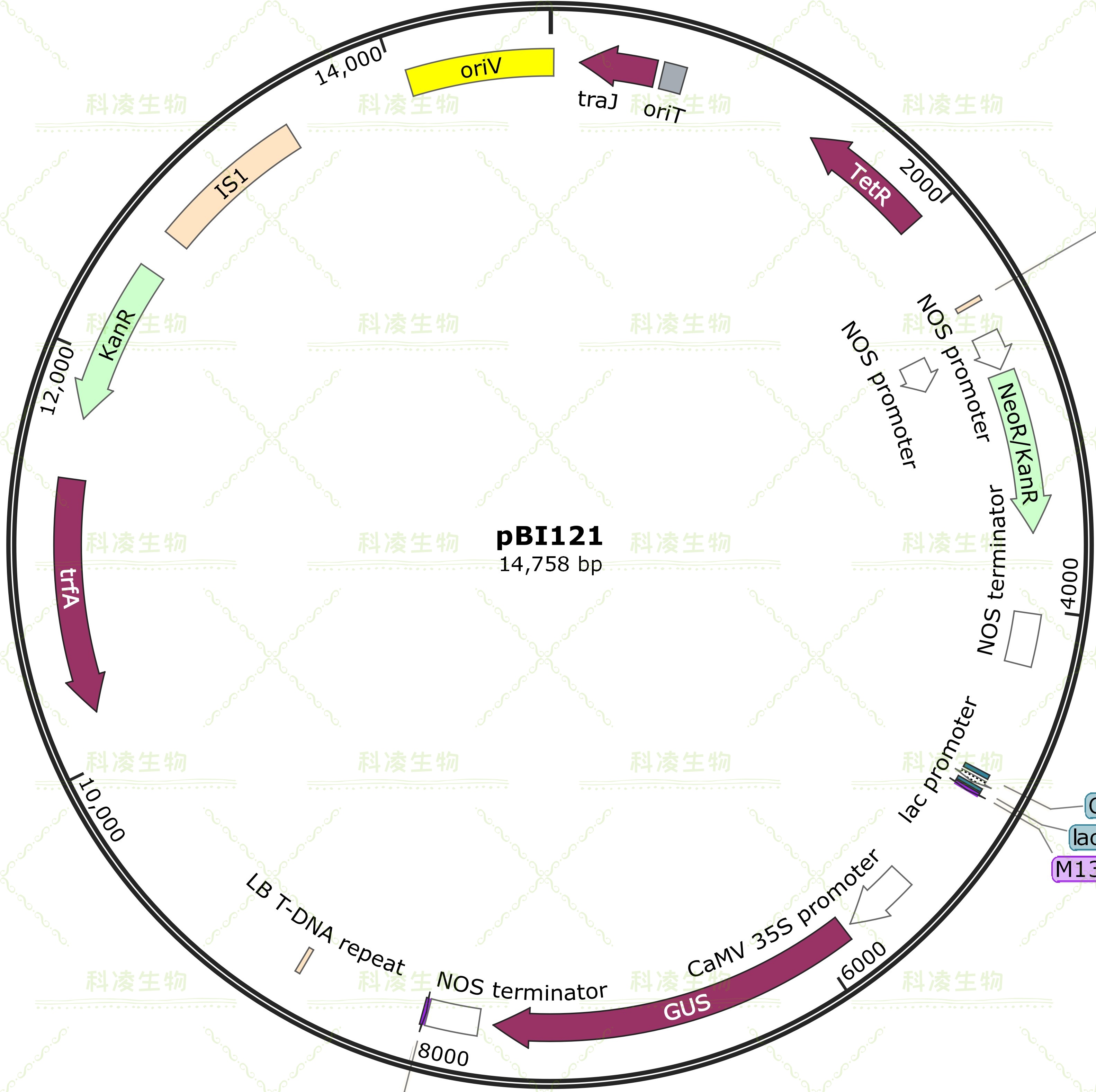 3、案例3.jpg 3、案例3.jpg